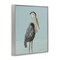 Stupell Industries Coastal Pelican Muted Blue Framed Giclee, design by Julie DeRice